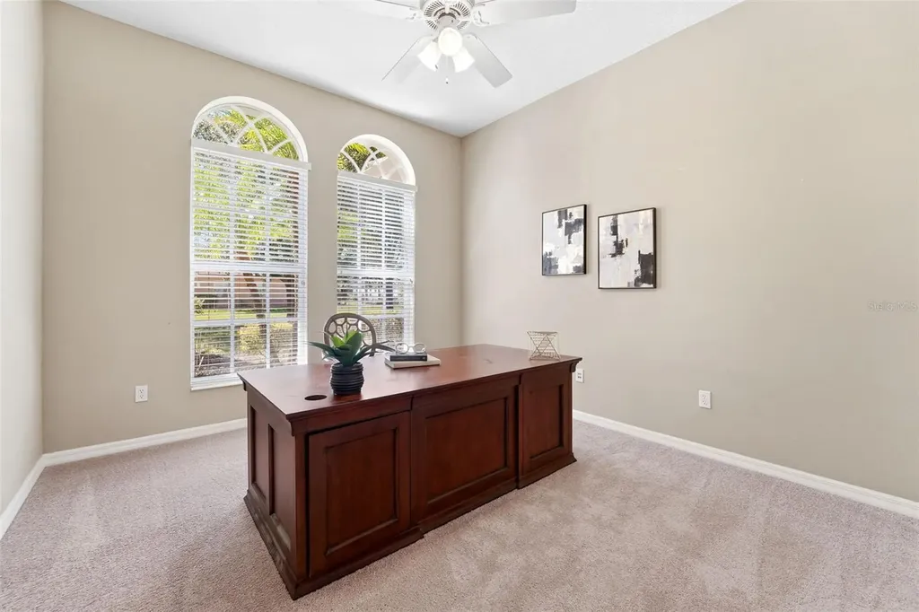21235 Sky Vista Drive Land O Lakes FL 34637