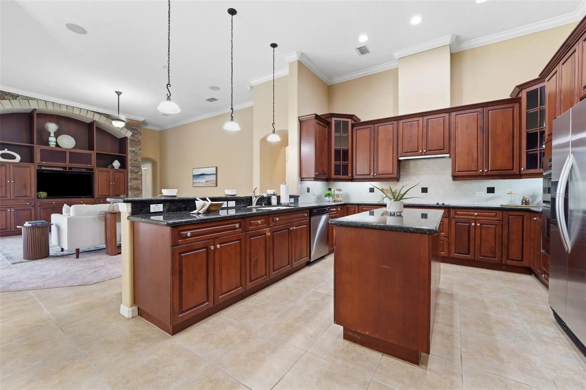21235 Sky Vista Drive Land O Lakes FL 34637