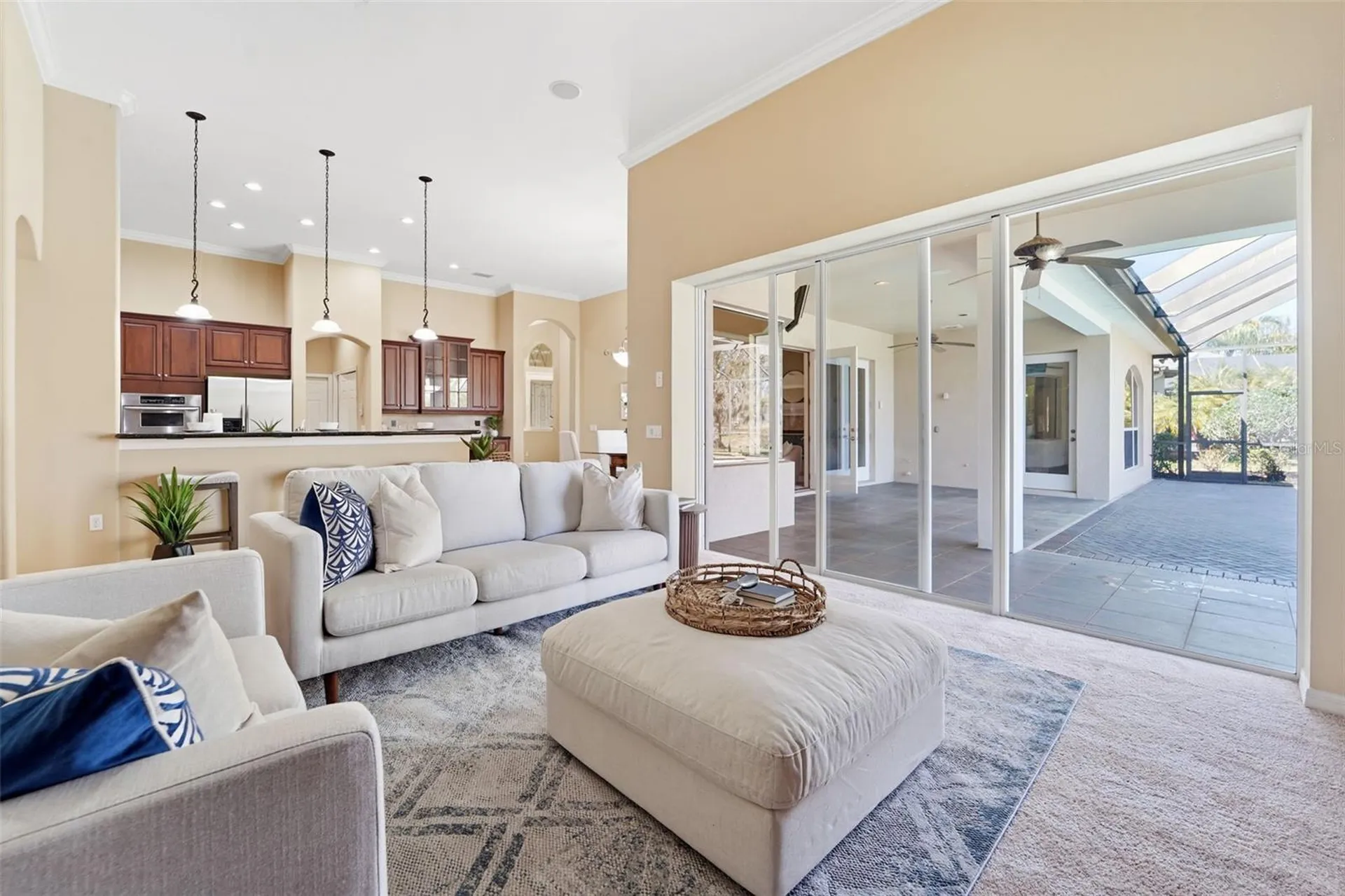 21235 Sky Vista Drive Land O Lakes FL 34637