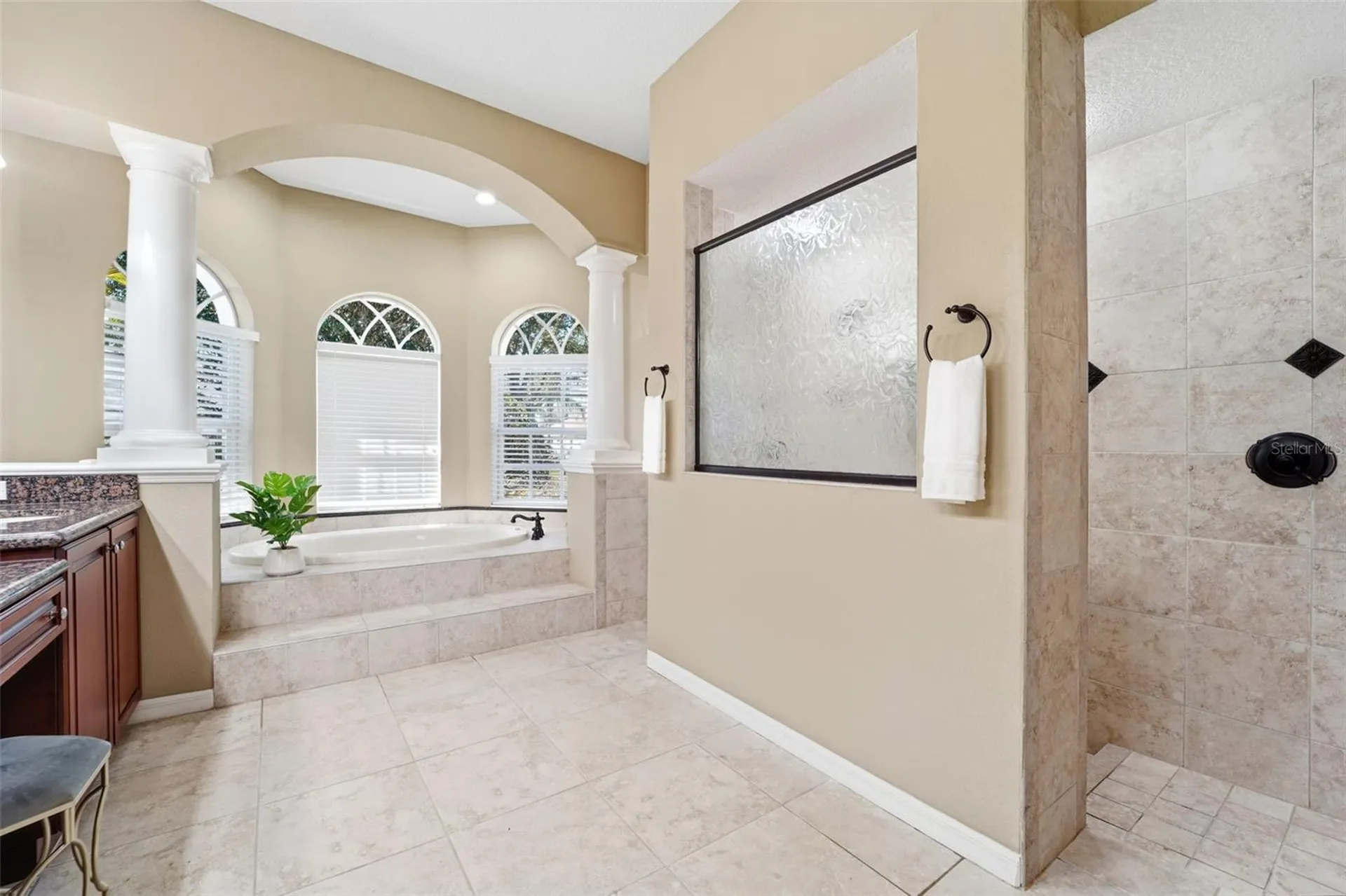 21235 Sky Vista Drive Land O Lakes FL 34637