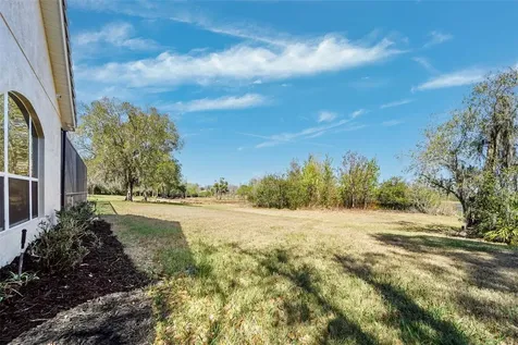 21235 Sky Vista Drive Land O Lakes FL 34637
