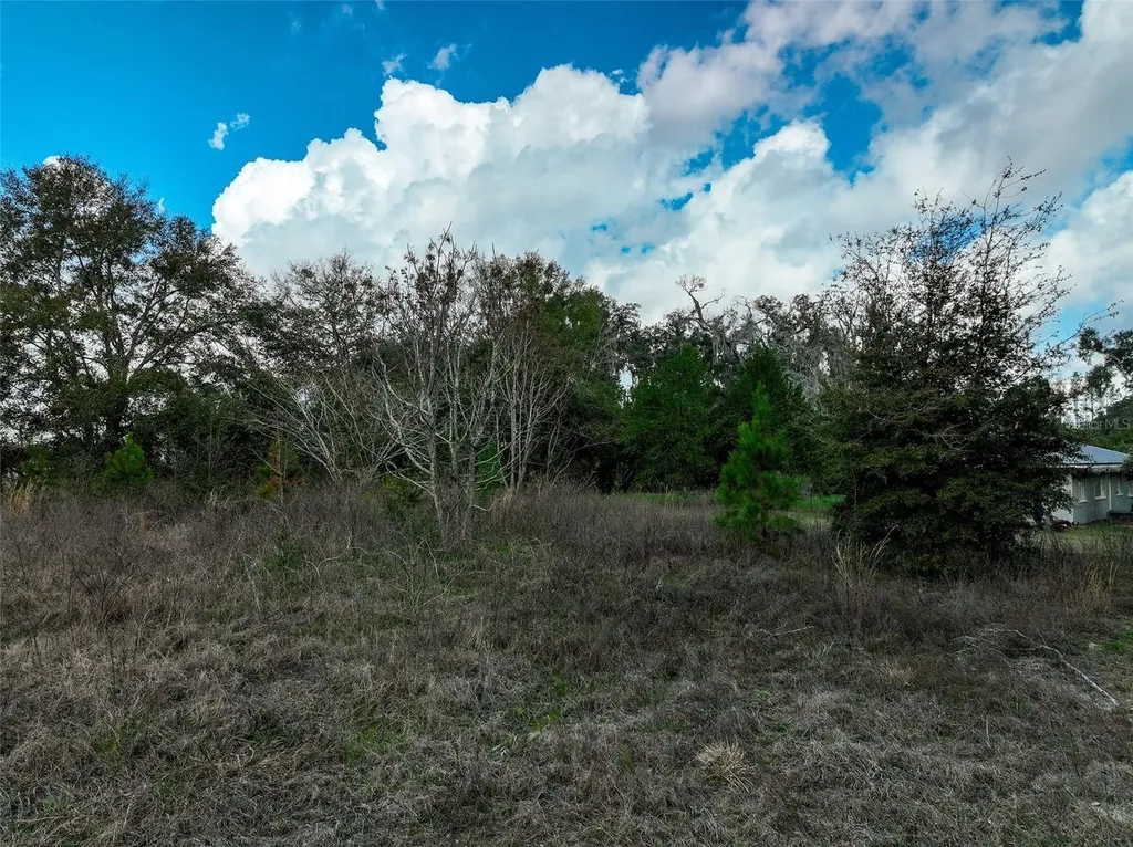 106 NW Fat Cat Court Lake City FL 32055
