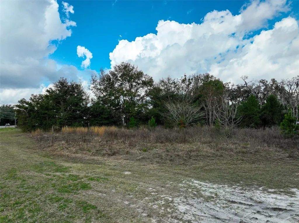 106 NW Fat Cat Court Lake City FL 32055