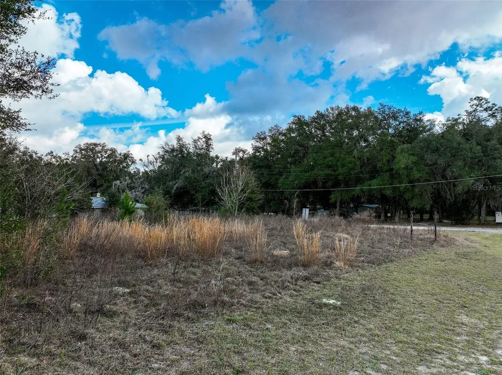 106 NW Fat Cat Court Lake City FL 32055
