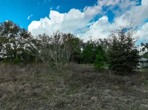 106 NW Fat Cat Court Lake City FL 32055