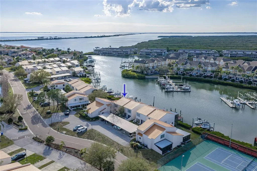 4306 Harbor House Drive Tampa FL 33615