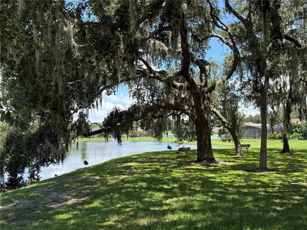 4920 E Lake Cove Boulevard St Cloud FL 34771
