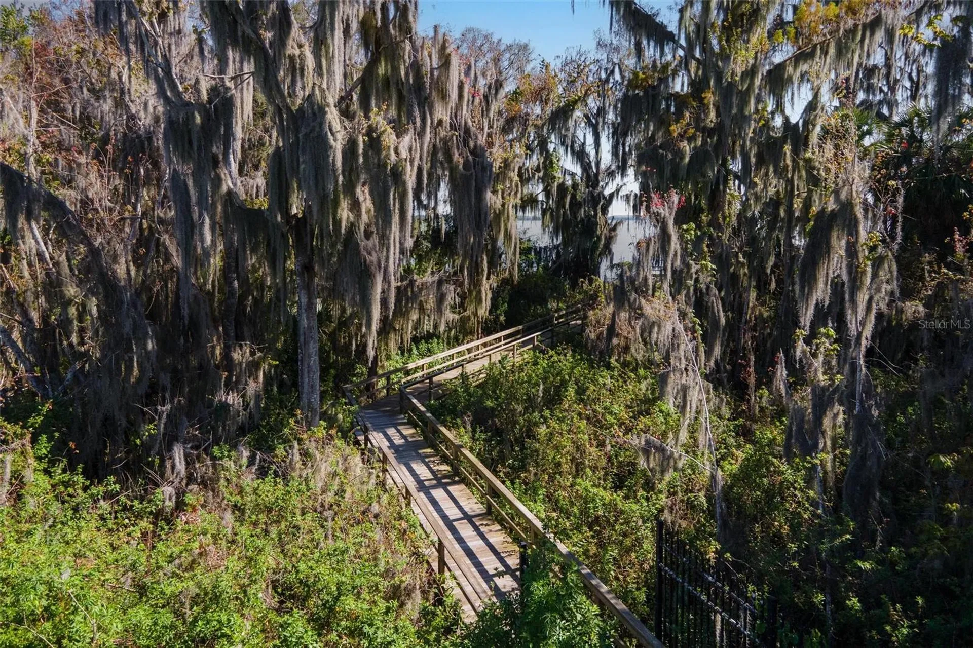 3130 Bulkley Place Eustis FL 32726