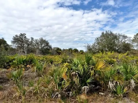Wylam Drive North Port FL 34288