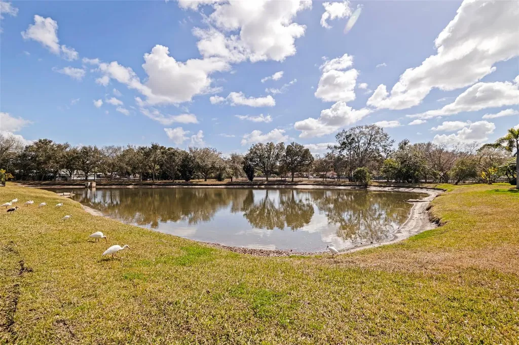 5844 95th Avenue N Pinellas Park FL 33782