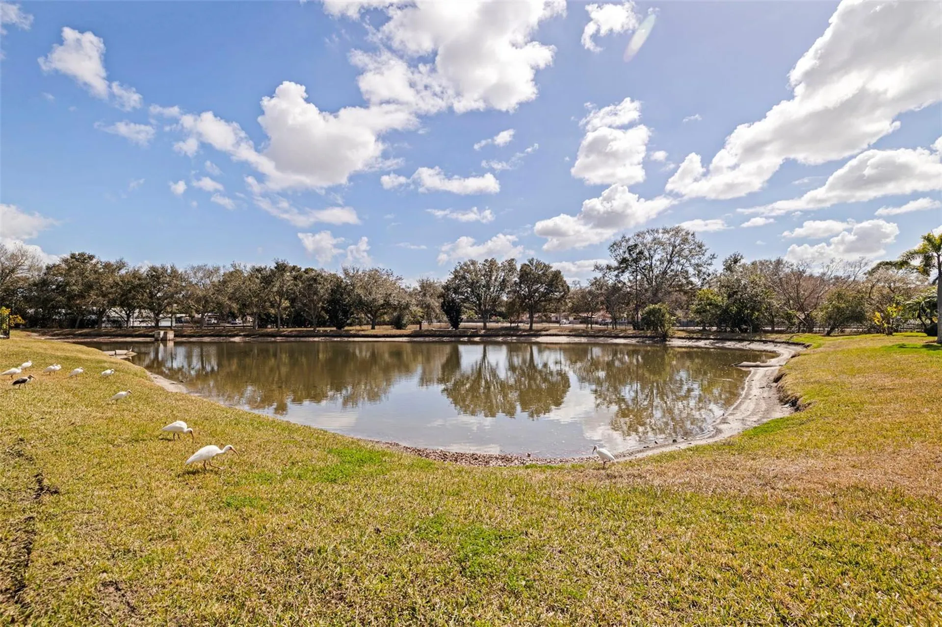5844 95th Avenue N Pinellas Park FL 33782