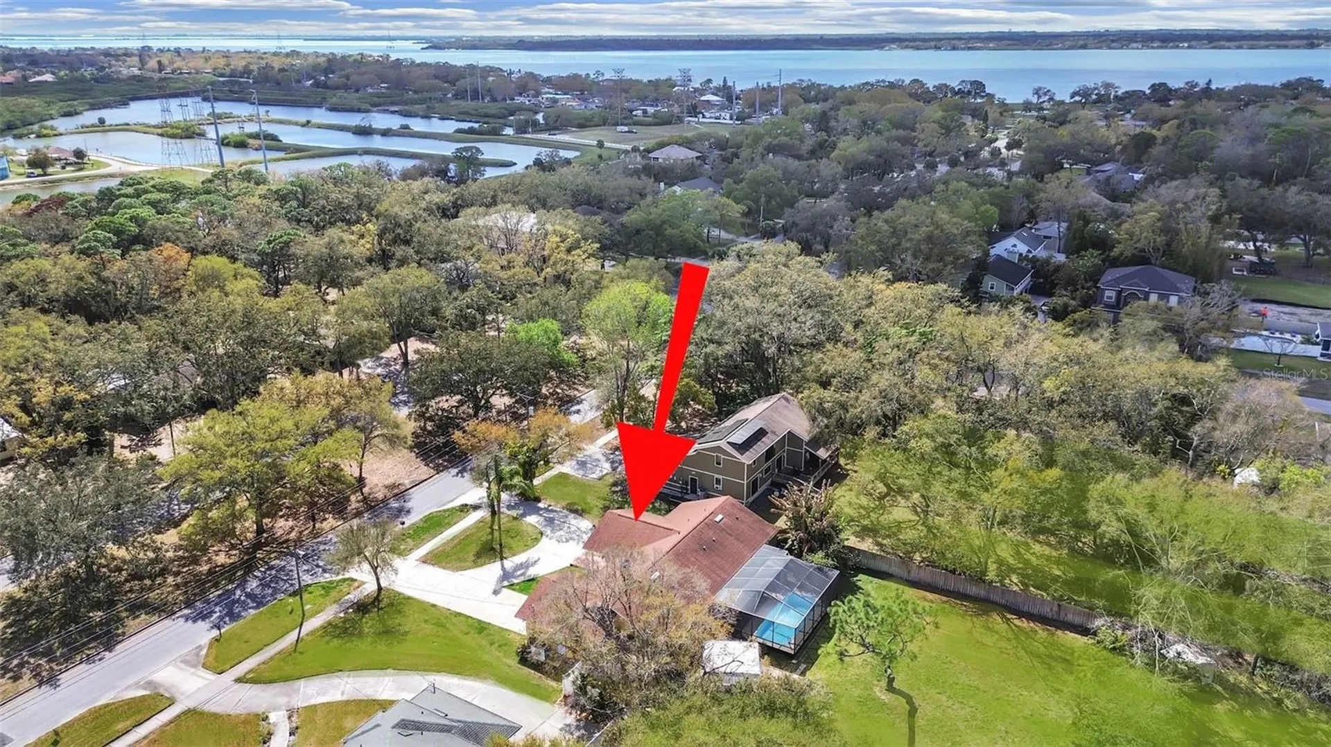 438 Lafayette Boulevard Oldsmar FL 34677
