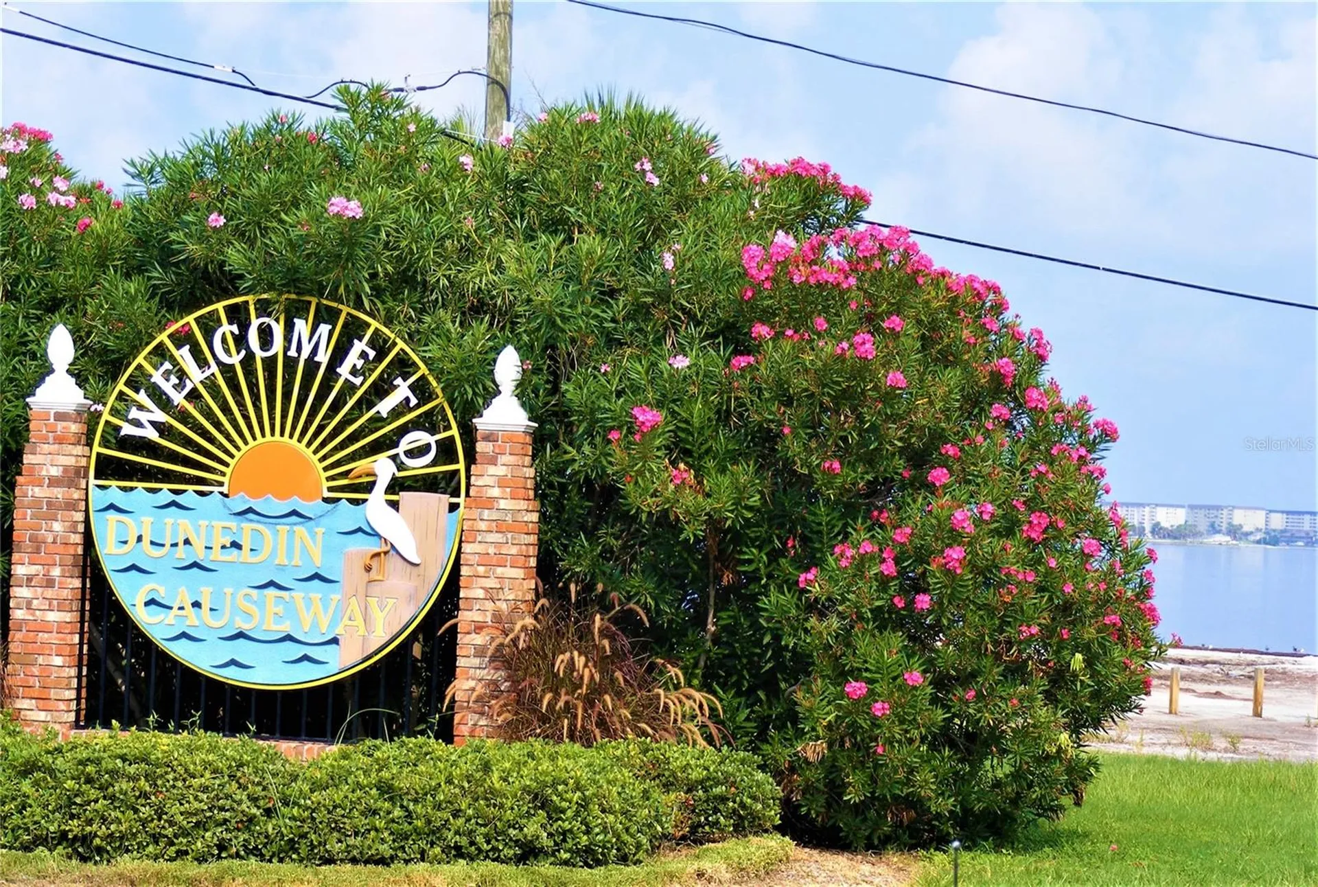 438 Lafayette Boulevard Oldsmar FL 34677