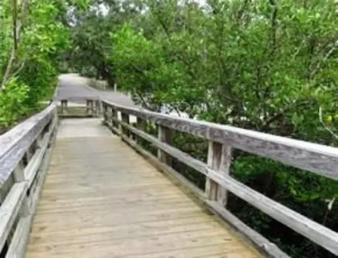438 Lafayette Boulevard Oldsmar FL 34677