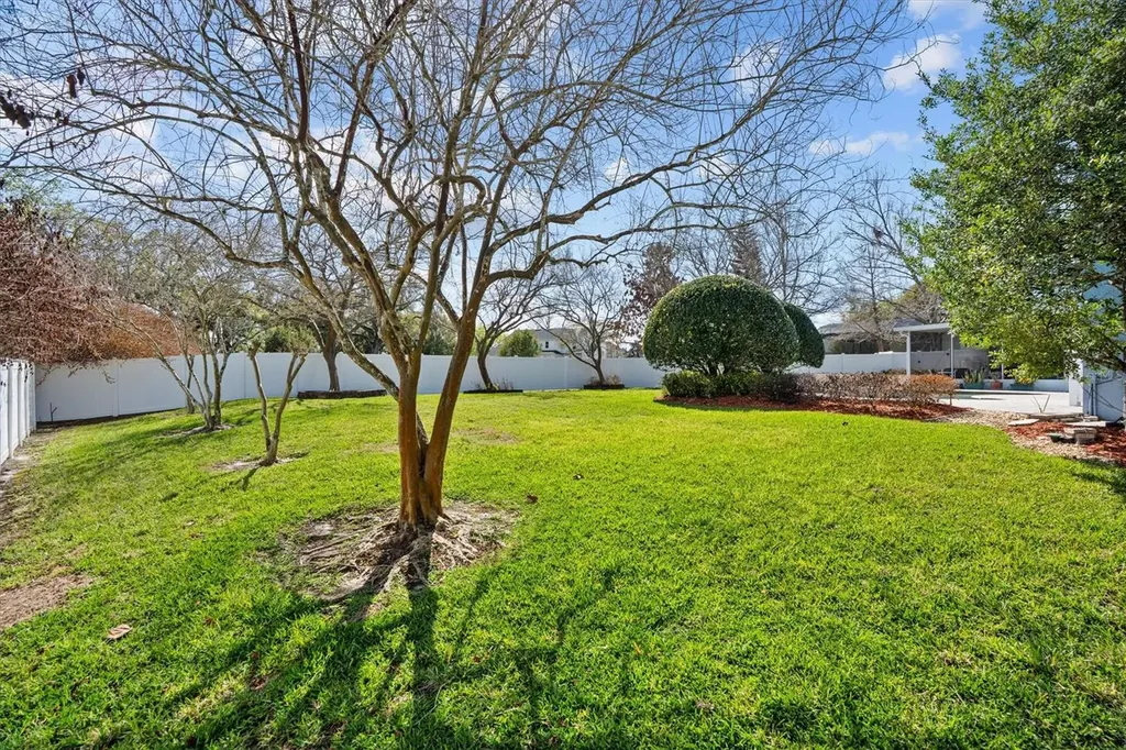 441 Courtlea Oaks Boulevard Winter Garden FL 34787