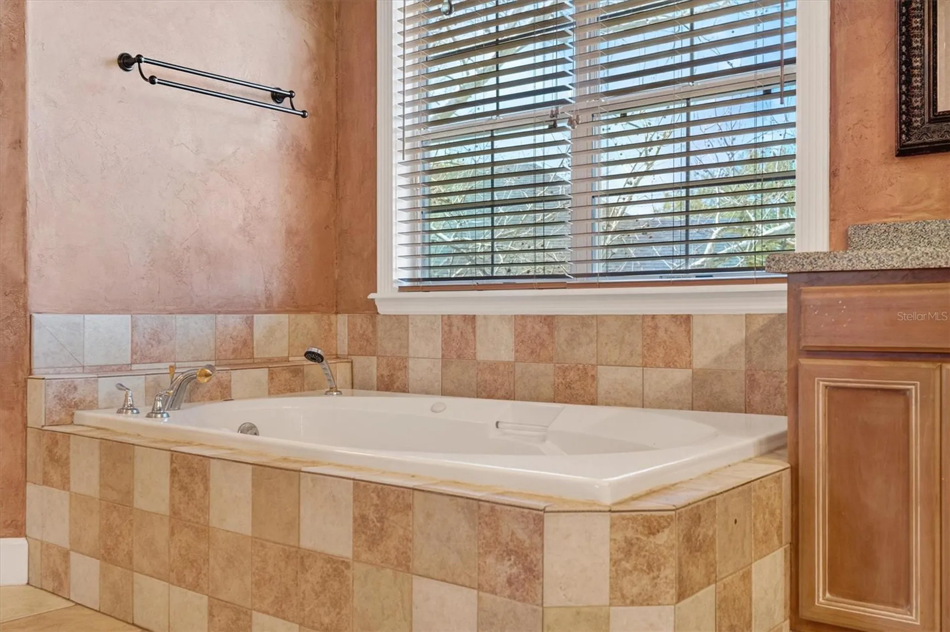 441 Courtlea Oaks Boulevard Winter Garden FL 34787