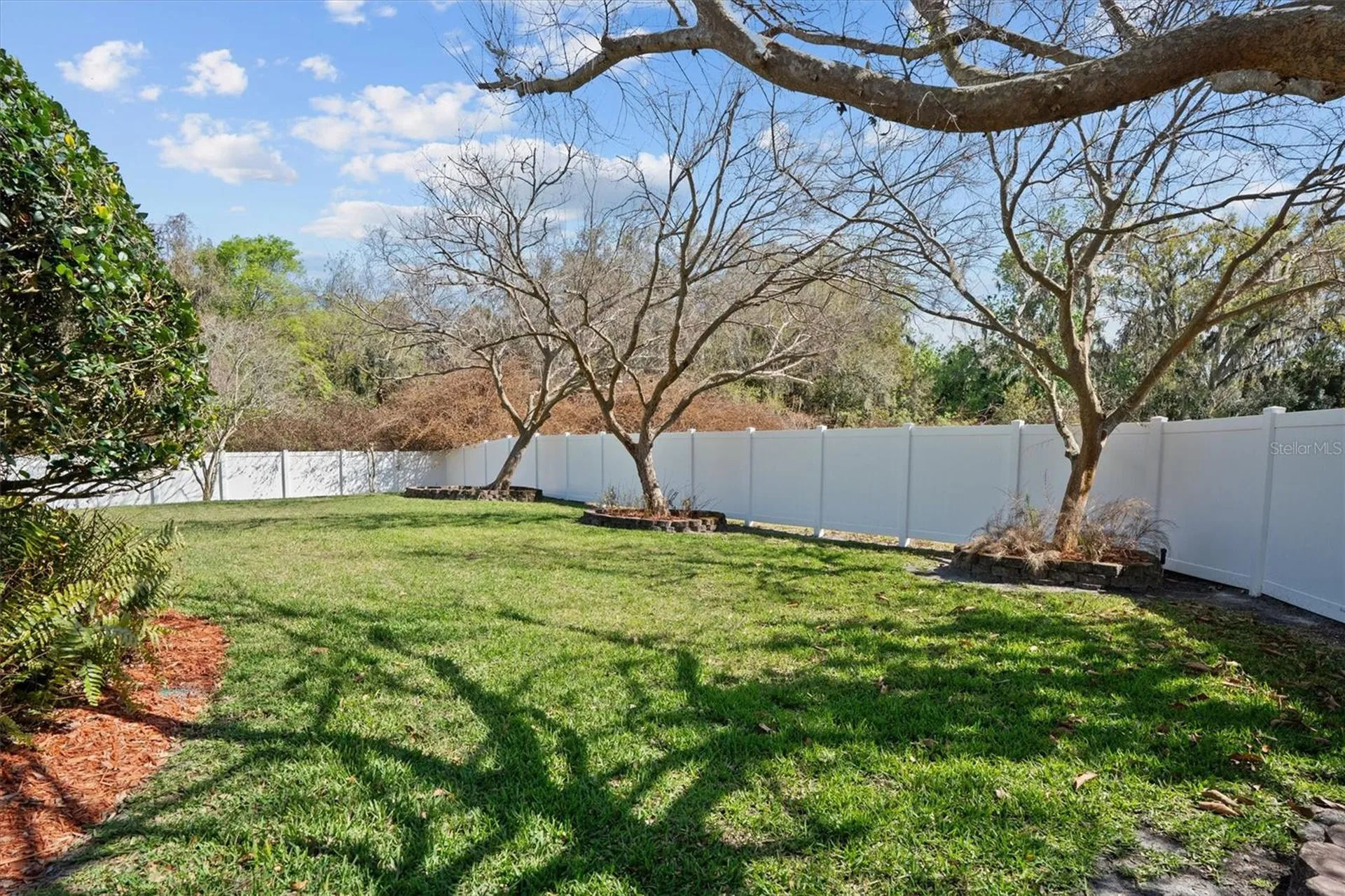 441 Courtlea Oaks Boulevard Winter Garden FL 34787