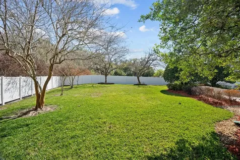 441 Courtlea Oaks Boulevard Winter Garden FL 34787