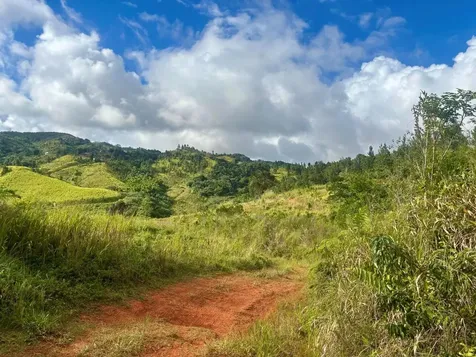 Carr 252 Km.hm 22.2 Orocovis PR 00720