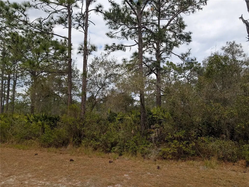 416 Bougainville Drive Indian Lake Estates FL 33855