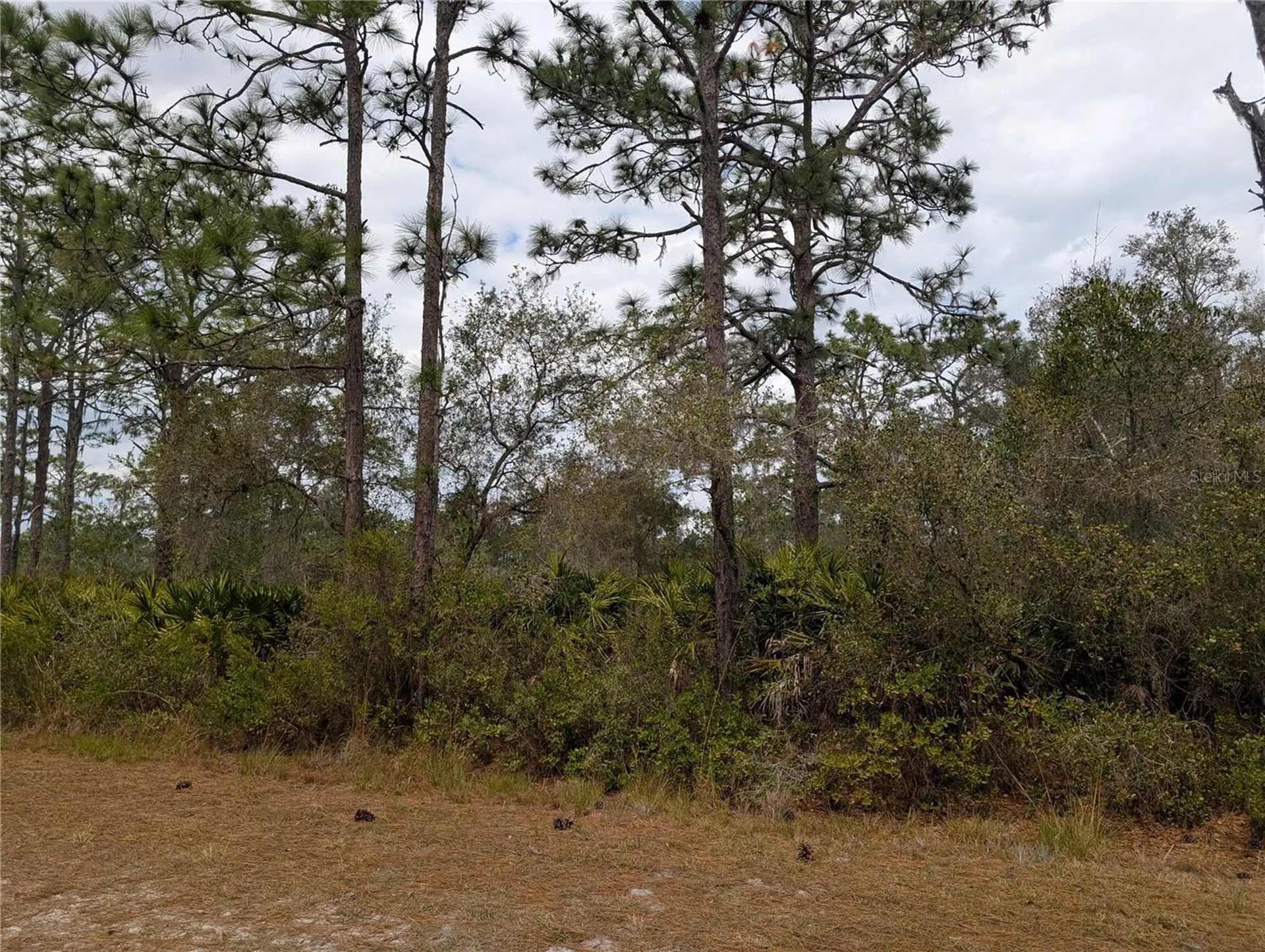 416 Bougainville Drive Indian Lake Estates FL 33855