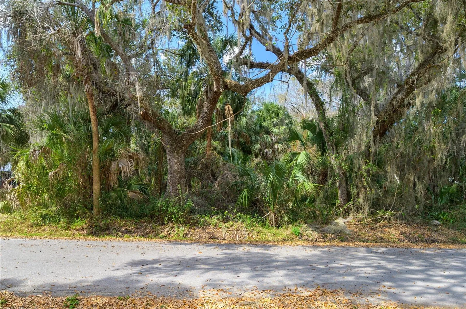 00 W Beach Parkway Lake Wales FL 33898