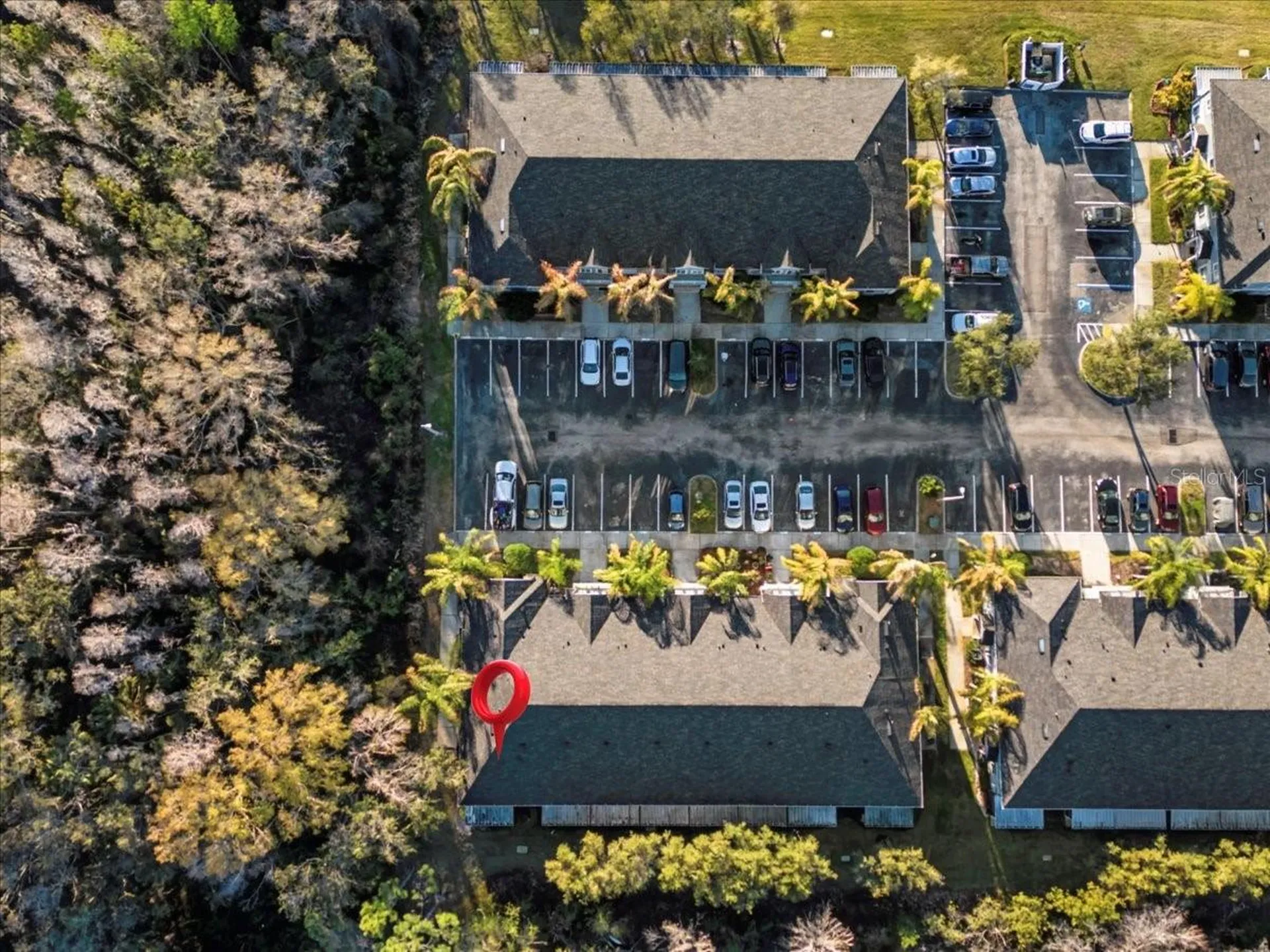 18101 Paradise Point Drive Tampa FL 33647