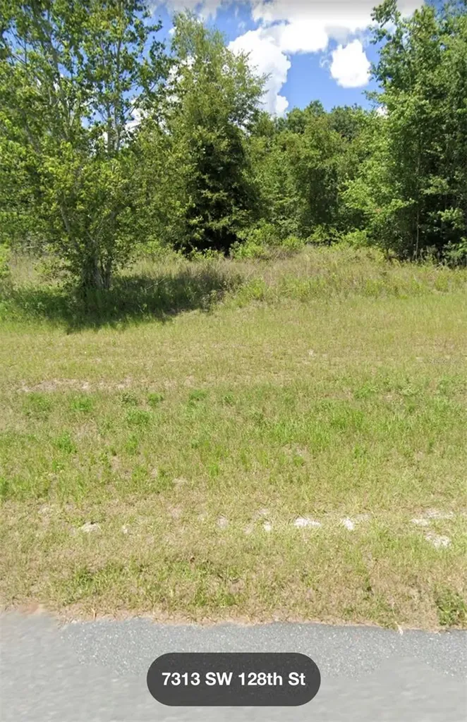 SW 128 Street Ocala FL 34473