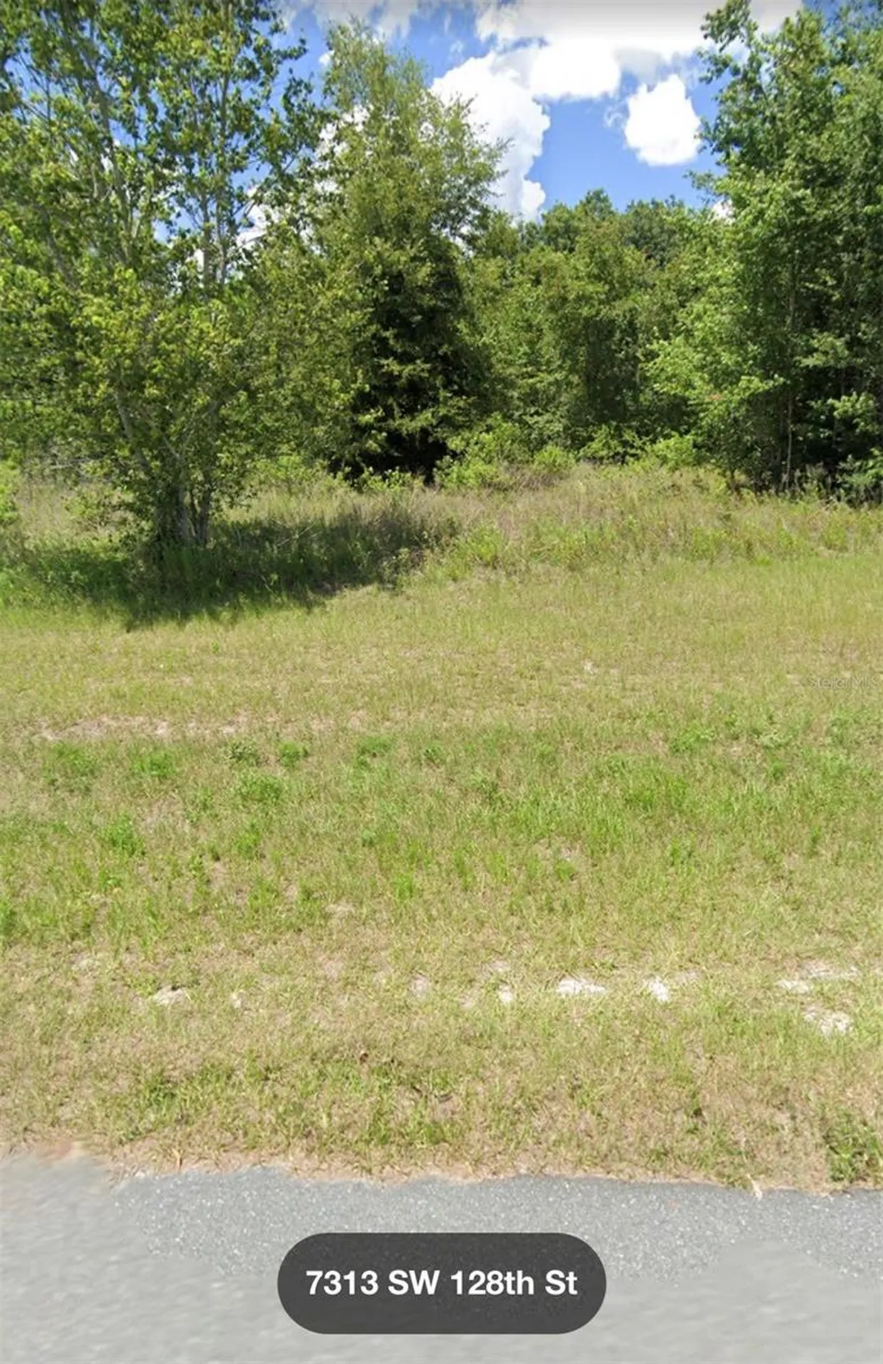 SW 128 Street Ocala FL 34473