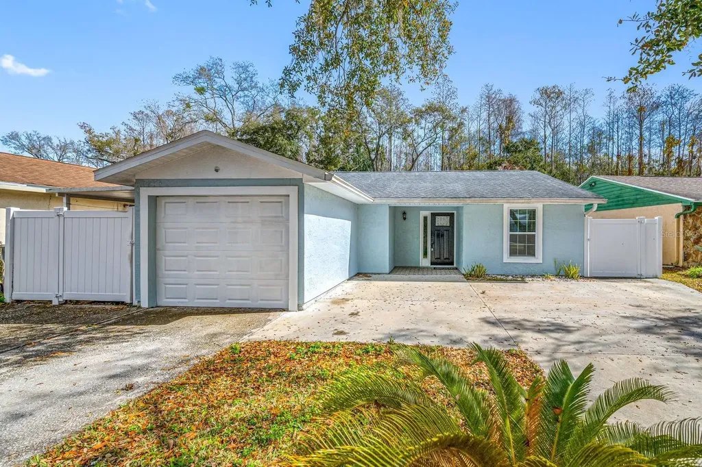 12413 Hidden Brook Drive Tampa FL 33624