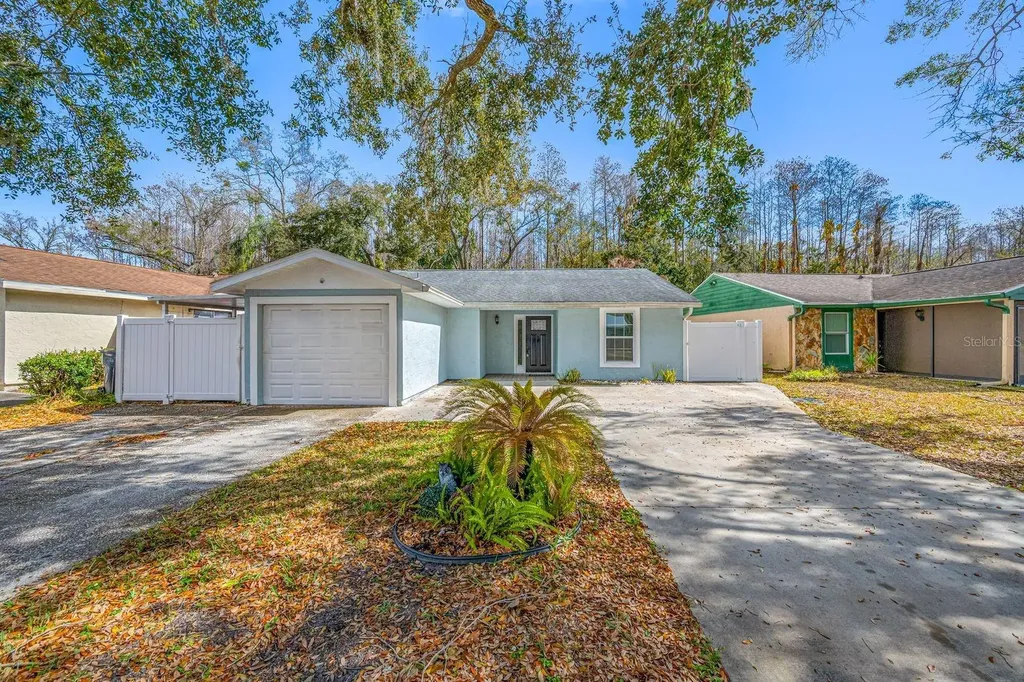 12413 Hidden Brook Drive Tampa FL 33624