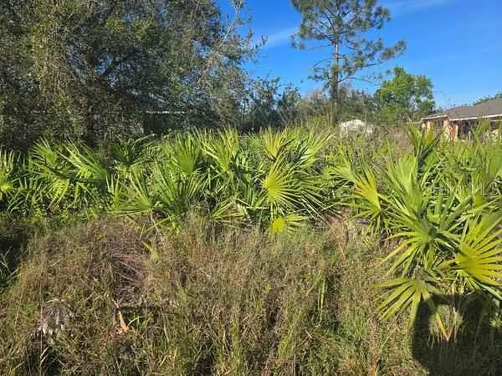 3813 5th Street SW Lehigh Acres FL 33976