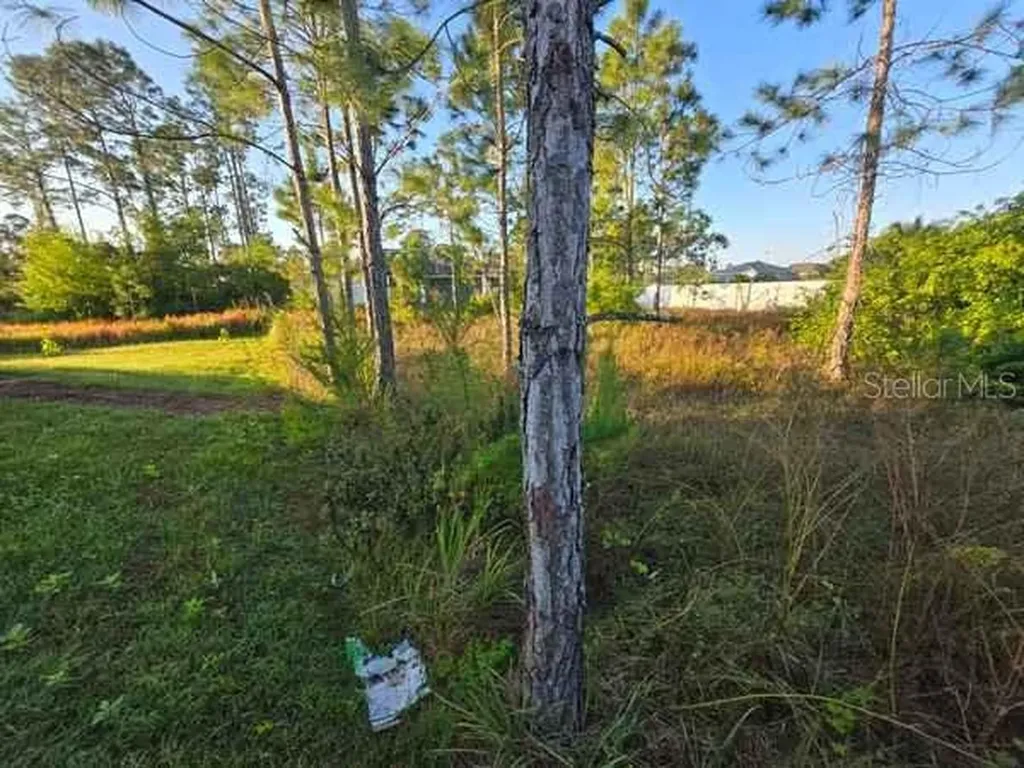 3813 5th Street SW Lehigh Acres FL 33976