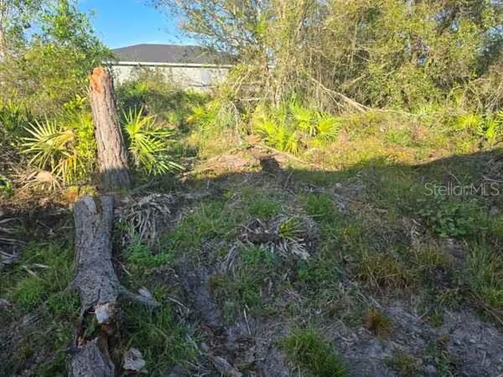 3813 5th Street SW Lehigh Acres FL 33976