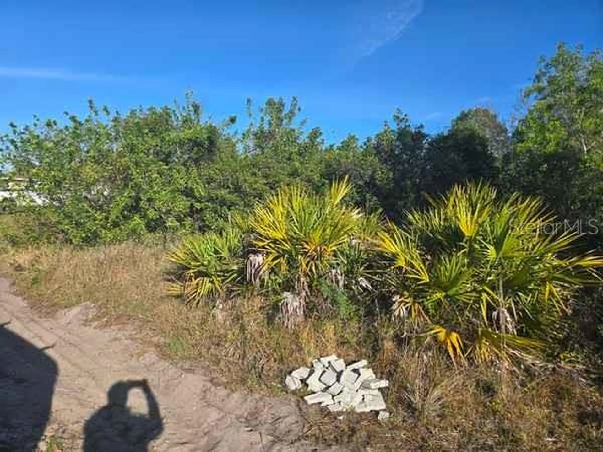 3813 5th Street SW Lehigh Acres FL 33976