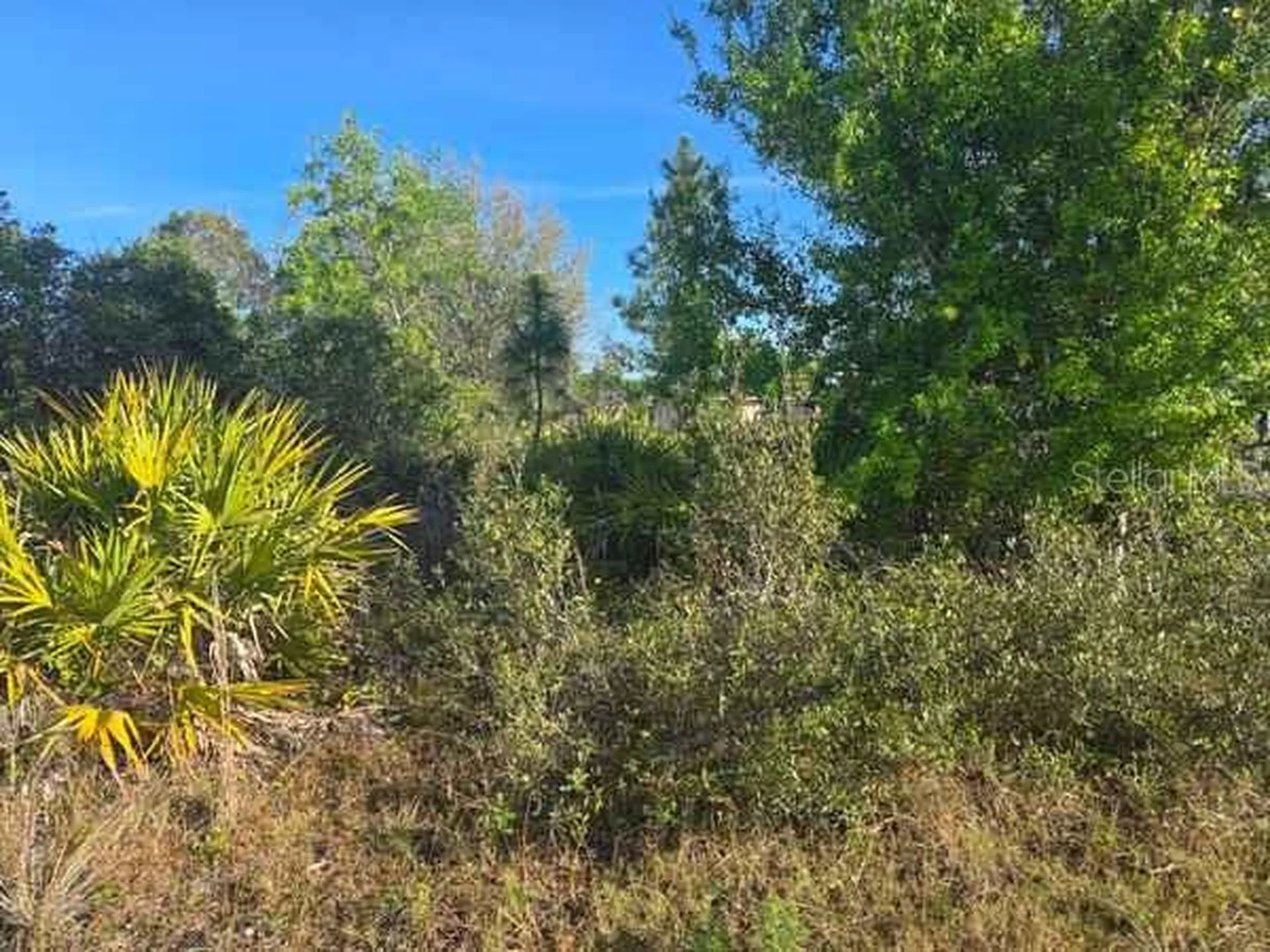 3813 5th Street SW Lehigh Acres FL 33976