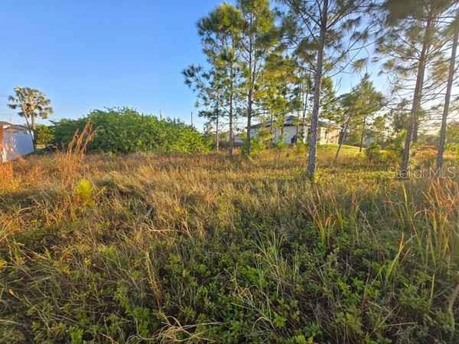 3813 5th Street SW Lehigh Acres FL 33976