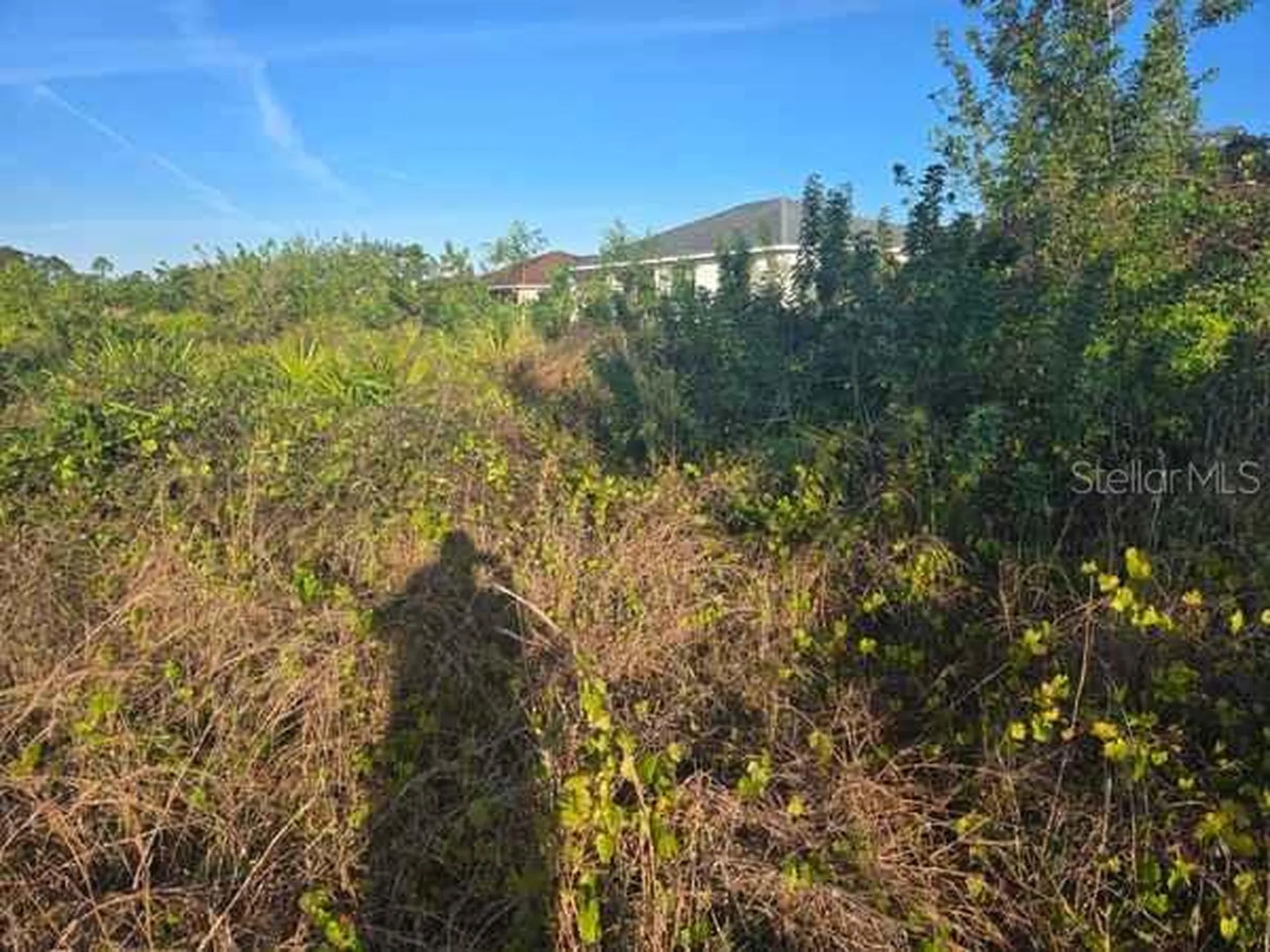 3813 5th Street SW Lehigh Acres FL 33976