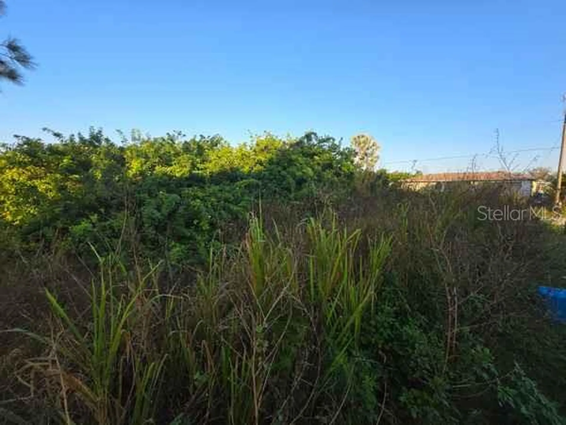 3813 5th Street SW Lehigh Acres FL 33976