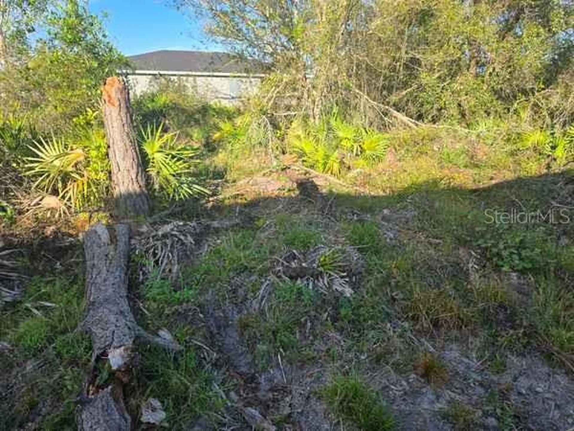 3813 5th Street SW Lehigh Acres FL 33976