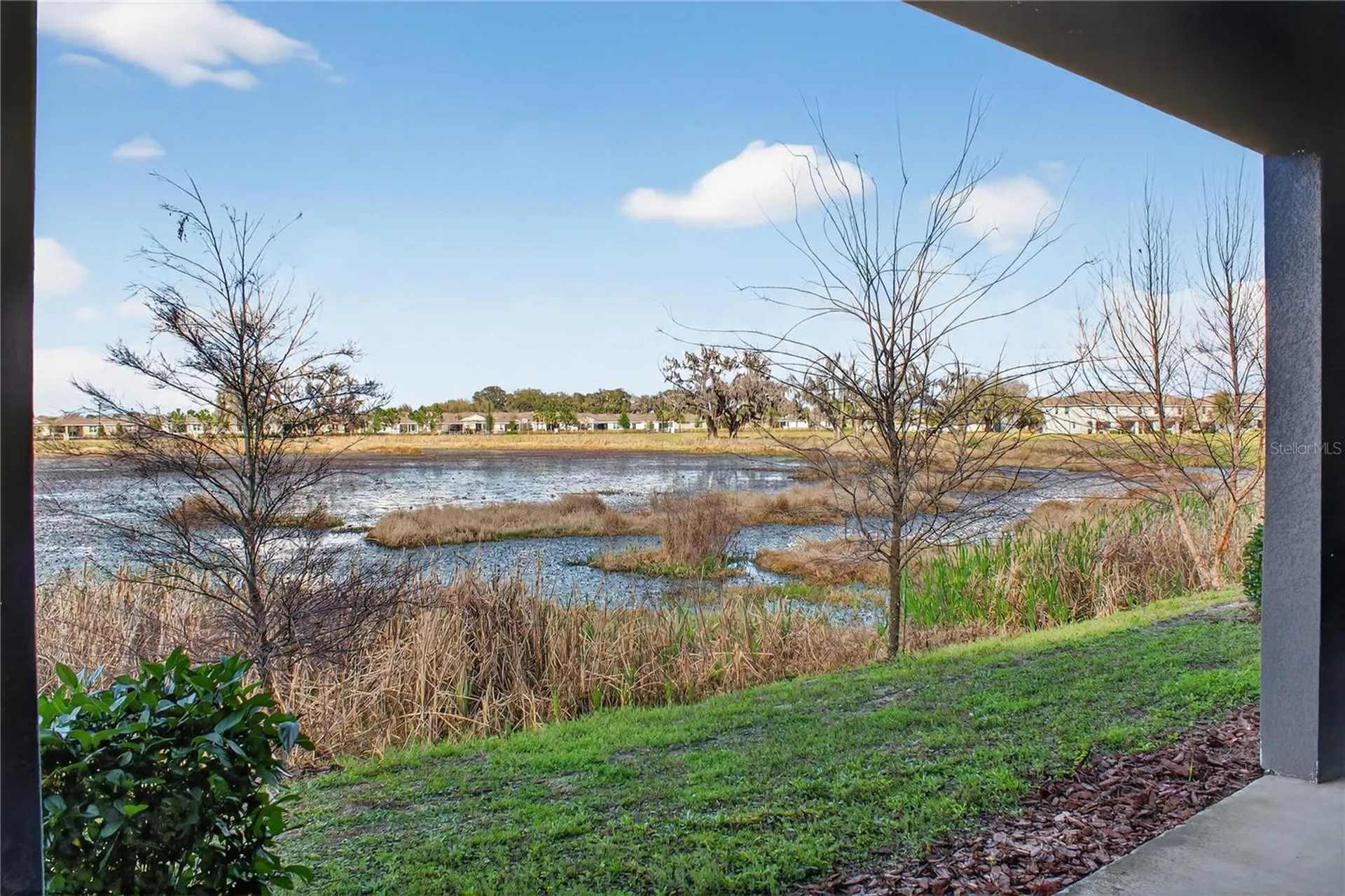 5214 Dragonfly Drive Wildwood FL 34785