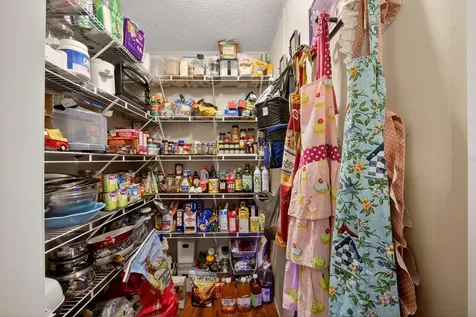 8009 Sergeant Pepper Drive Howey In The Hills FL 34737