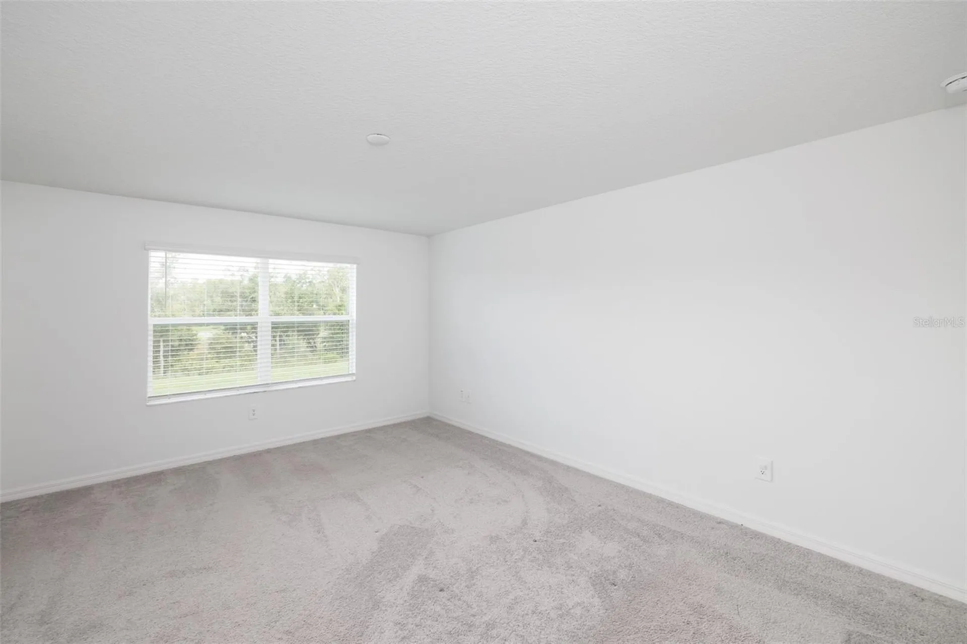 10989 Wishing Cloud Road Land O Lakes FL 34638
