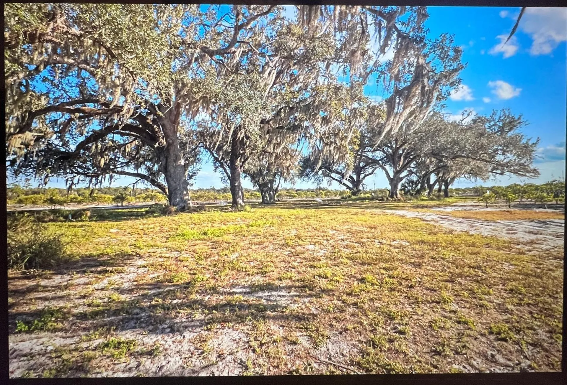 8423 NW Pine Level Street Arcadia FL 34266