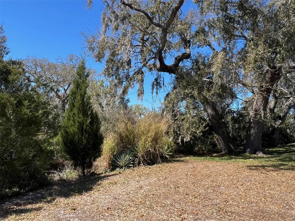 29250 Us Highway 19 N Clearwater FL 33761