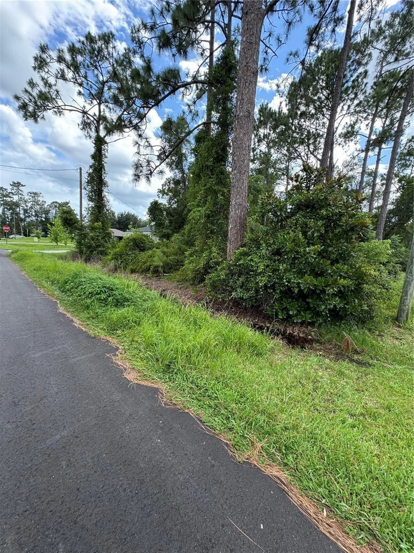 2026 7th Avenue Deland FL 32724