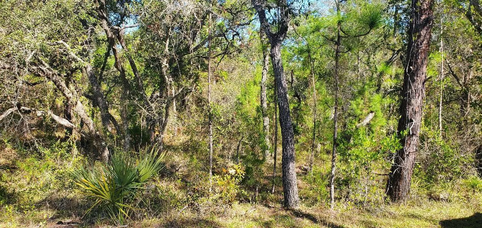 Lot 56 Michigan Avenue Weeki Wachee FL 34613