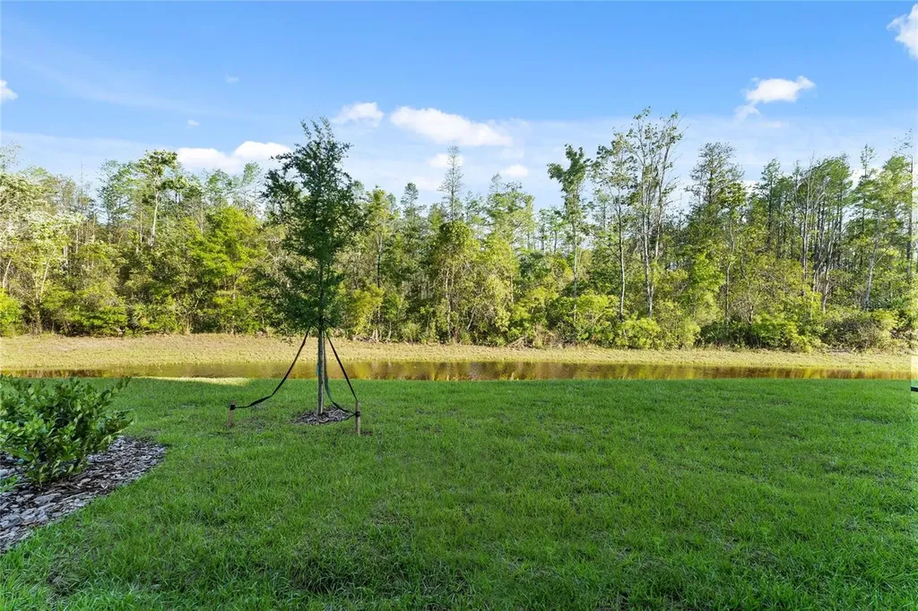 17712 Nectar Flume Drive Land O Lakes FL 34638