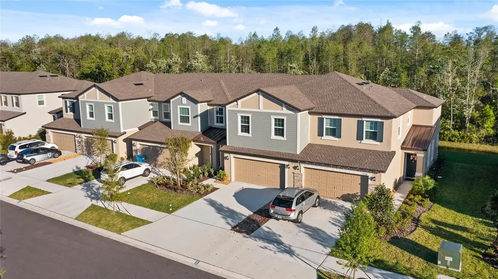 17712 Nectar Flume Drive Land O Lakes FL 34638