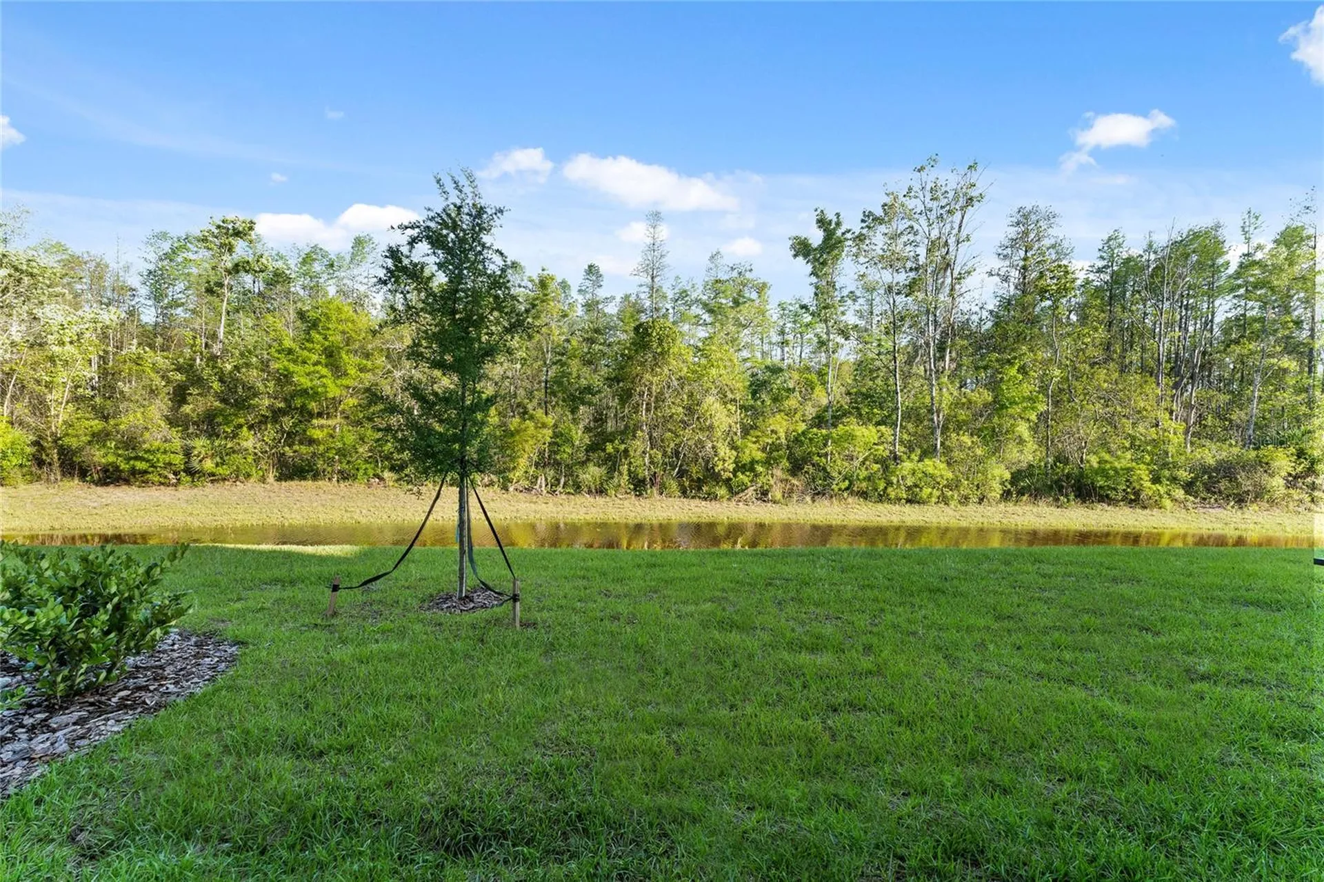 17712 Nectar Flume Drive Land O Lakes FL 34638